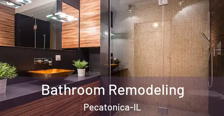 inner Bathroom imggen Bathroom Remodeling Pecatonica-IL
