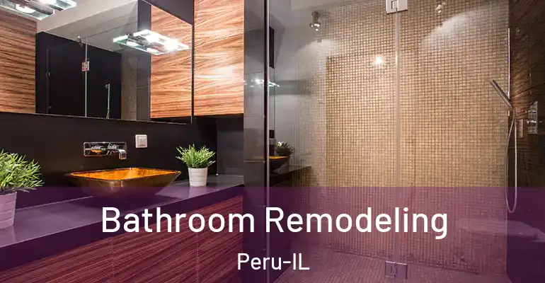 inner Bathroom imggen Bathroom Remodeling Peru-IL