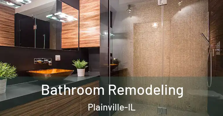 inner Bathroom imggen Bathroom Remodeling Plainville-IL