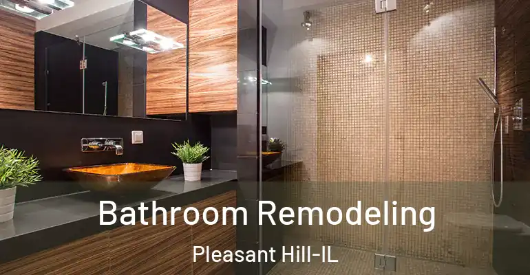 inner Bathroom imggen Bathroom Remodeling Pleasant Hill-IL