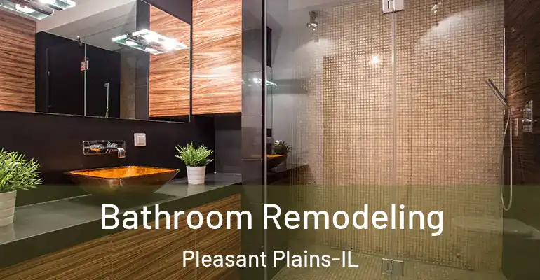inner Bathroom imggen Bathroom Remodeling Pleasant Plains-IL