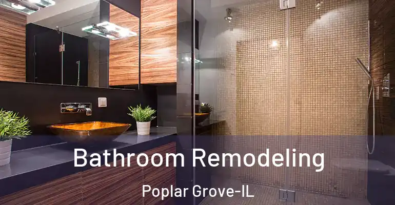 inner Bathroom imggen Bathroom Remodeling Poplar Grove-IL