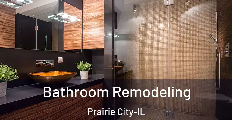 inner Bathroom imggen Bathroom Remodeling Prairie City-IL