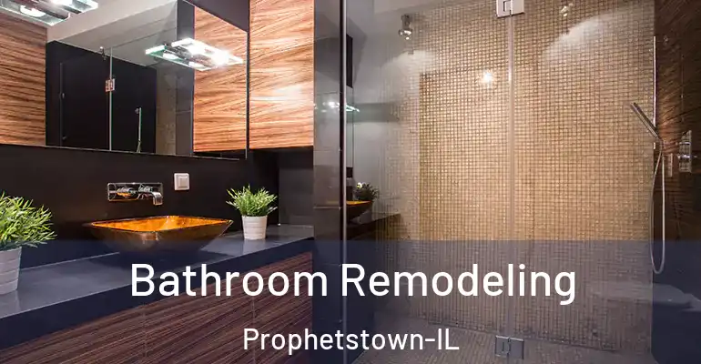 inner Bathroom imggen Bathroom Remodeling Prophetstown-IL