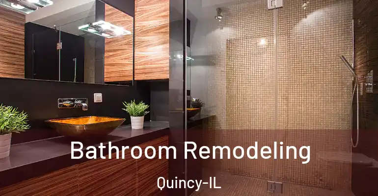 inner Bathroom imggen Bathroom Remodeling Quincy-IL