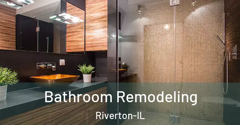 inner Bathroom imggen Bathroom Remodeling Riverton-IL