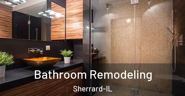 inner Bathroom imggen Bathroom Remodeling Sherrard-IL