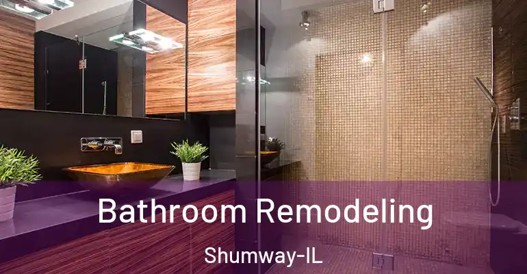 inner Bathroom imggen Bathroom Remodeling Shumway-IL