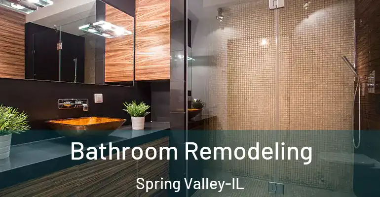inner Bathroom imggen Bathroom Remodeling Spring Valley-IL