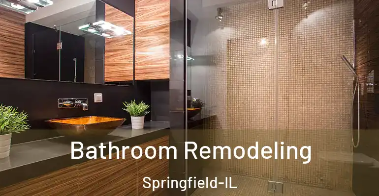 inner Bathroom imggen Bathroom Remodeling Springfield-IL