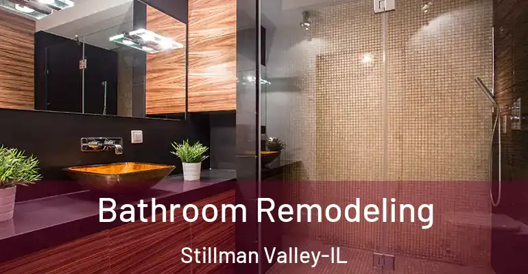 inner Bathroom imggen Bathroom Remodeling Stillman Valley-IL