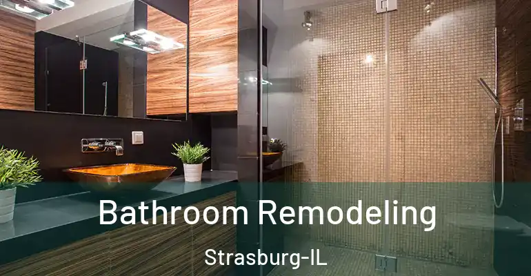 inner Bathroom imggen Bathroom Remodeling Strasburg-IL