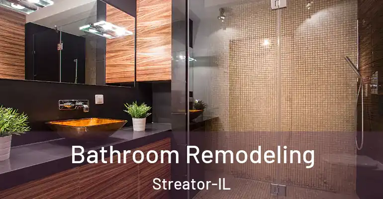 inner Bathroom imggen Bathroom Remodeling Streator-IL