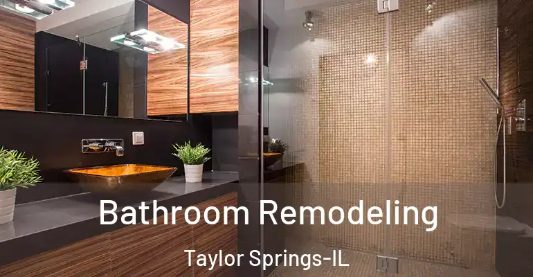 inner Bathroom imggen Bathroom Remodeling Taylor Springs-IL