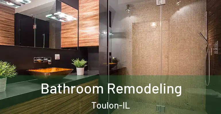 inner Bathroom imggen Bathroom Remodeling Toulon-IL