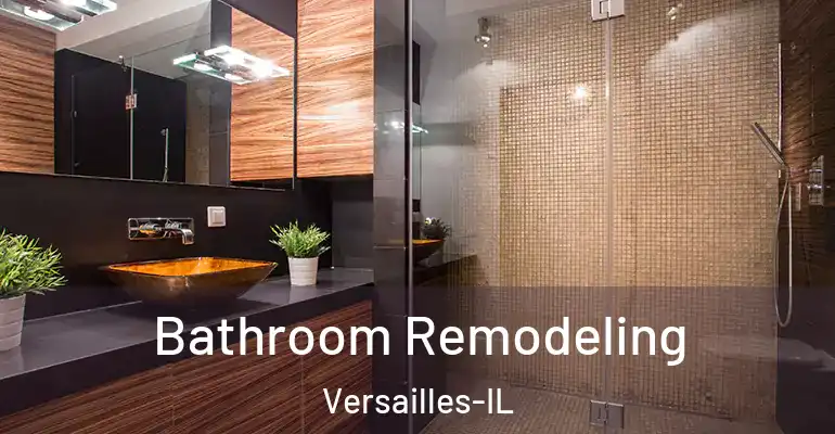 inner Bathroom imggen Bathroom Remodeling Versailles-IL