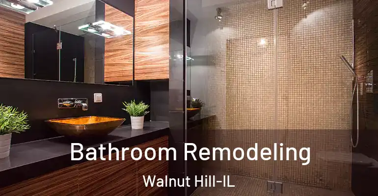 inner Bathroom imggen Bathroom Remodeling Walnut Hill-IL