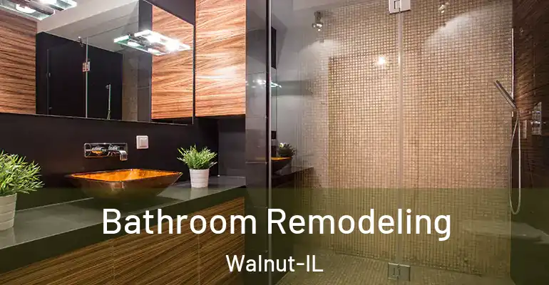 inner Bathroom imggen Bathroom Remodeling Walnut-IL