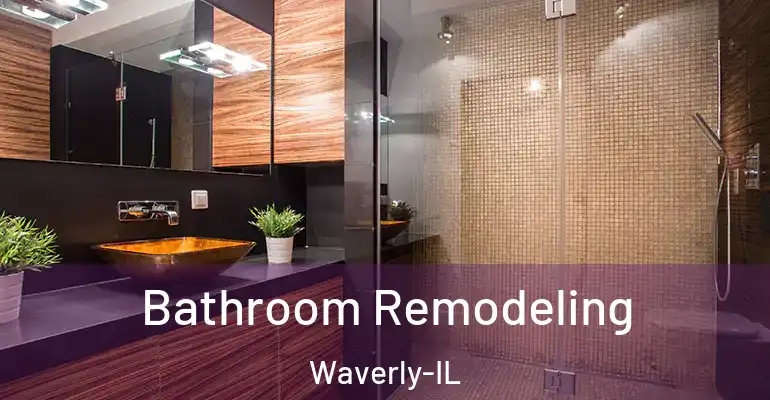 inner Bathroom imggen Bathroom Remodeling Waverly-IL