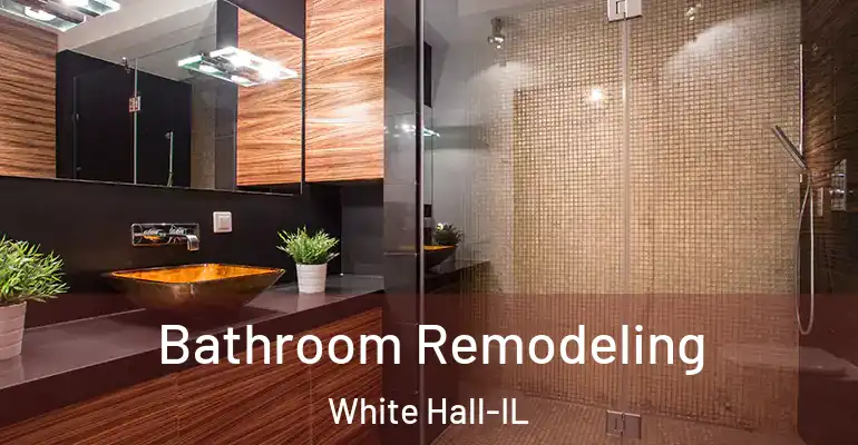 inner Bathroom imggen Bathroom Remodeling White Hall-IL