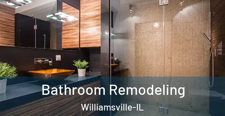 inner Bathroom imggen Bathroom Remodeling Williamsville-IL
