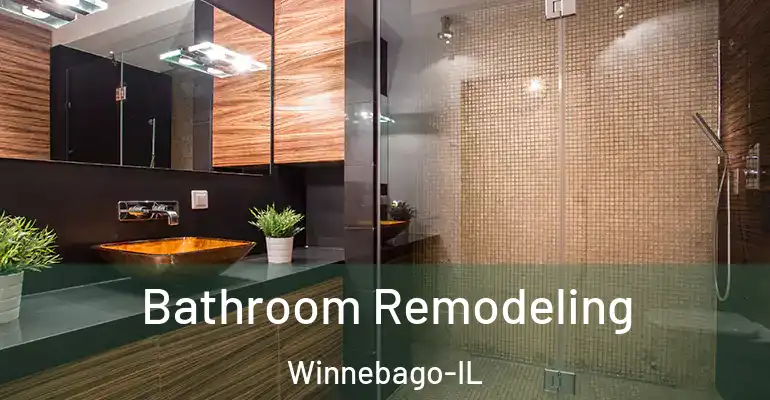 inner Bathroom imggen Bathroom Remodeling Winnebago-IL