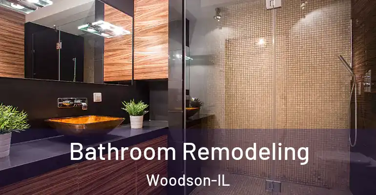 inner Bathroom imggen Bathroom Remodeling Woodson-IL