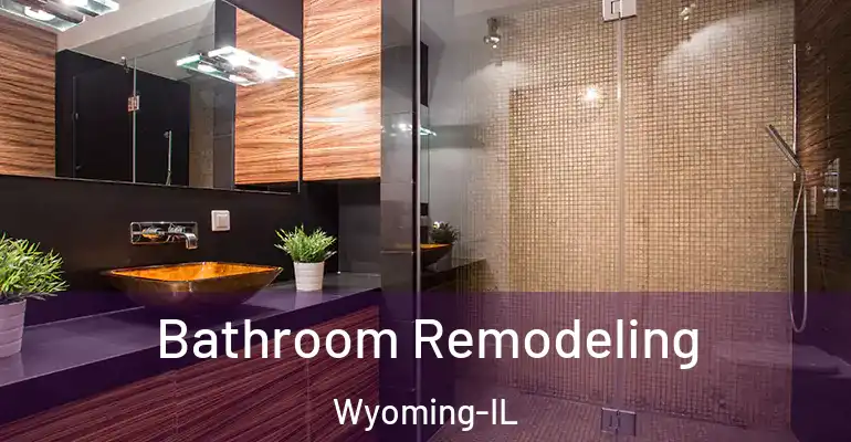 inner Bathroom imggen Bathroom Remodeling Wyoming-IL