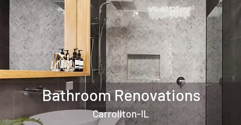 inner Bathroom imggen Bathroom Renovations Carrollton-IL