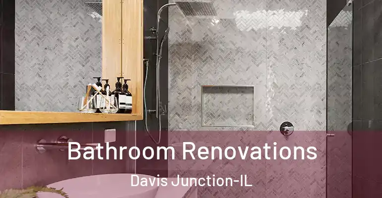 inner Bathroom imggen Bathroom Renovations Davis Junction-IL