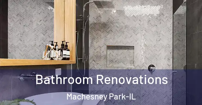 inner Bathroom imggen Bathroom Renovations Machesney Park-IL