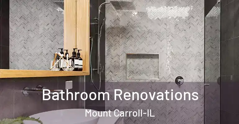 inner Bathroom imggen Bathroom Renovations Mount Carroll-IL