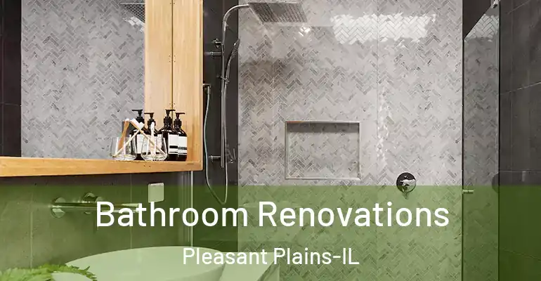 inner Bathroom imggen Bathroom Renovations Pleasant Plains-IL