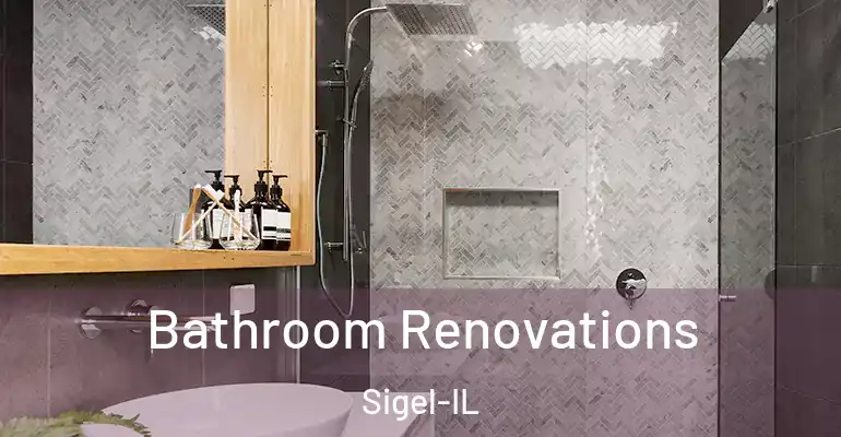 inner Bathroom imggen Bathroom Renovations Sigel-IL