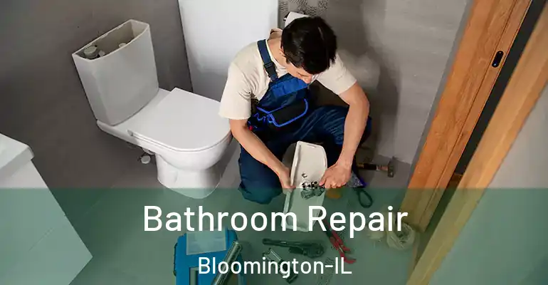inner Bathroom imggen Bathroom Repair Bloomington-IL