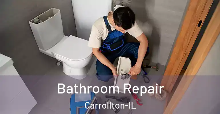 inner Bathroom imggen Bathroom Repair Carrollton-IL