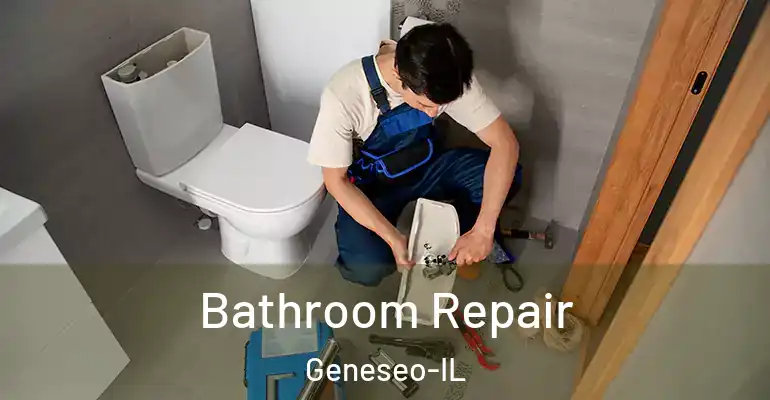 inner Bathroom imggen Bathroom Repair Geneseo-IL