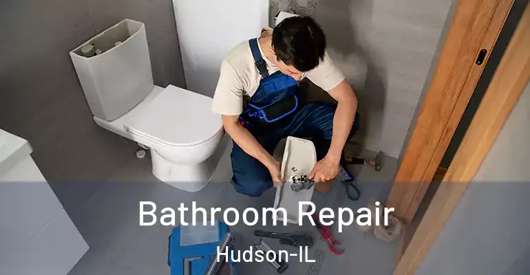 inner Bathroom imggen Bathroom Repair Hudson-IL