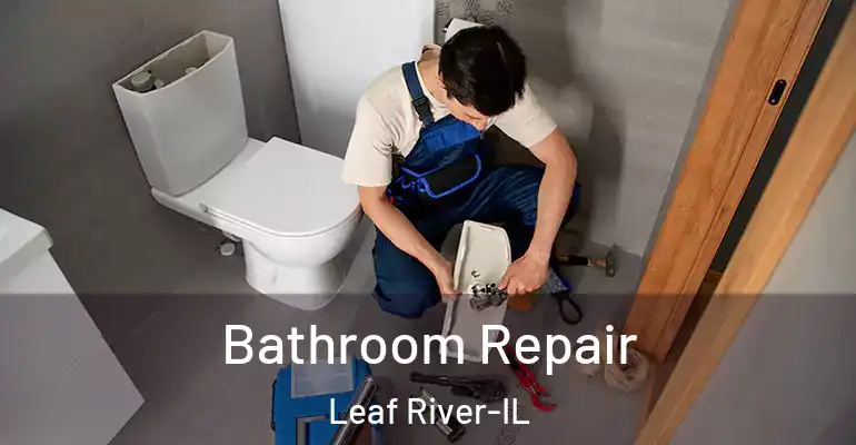 inner Bathroom imggen Bathroom Repair Leaf River-IL