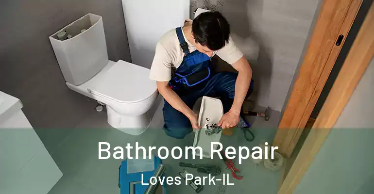 inner Bathroom imggen Bathroom Repair Loves Park-IL