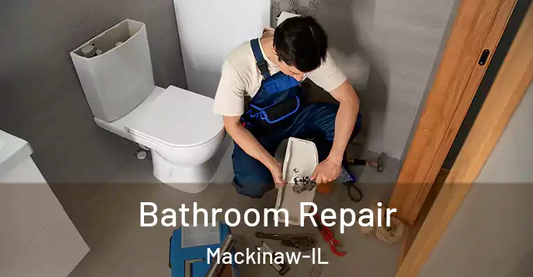 inner Bathroom imggen Bathroom Repair Mackinaw-IL