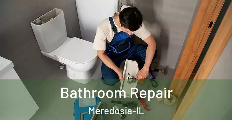 inner Bathroom imggen Bathroom Repair Meredosia-IL