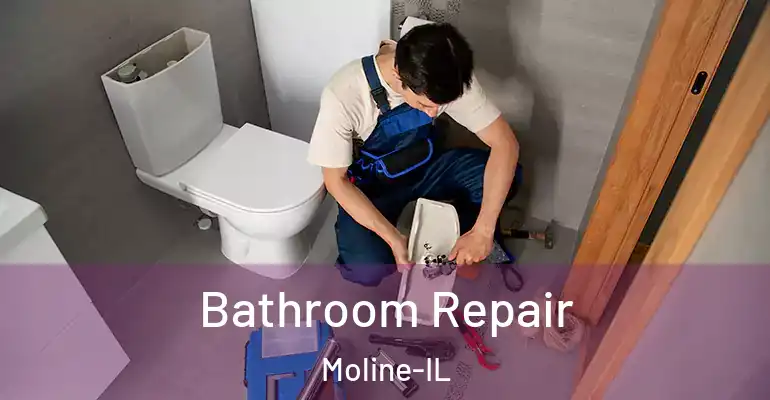 inner Bathroom imggen Bathroom Repair Moline-IL