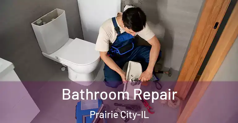 inner Bathroom imggen Bathroom Repair Prairie City-IL