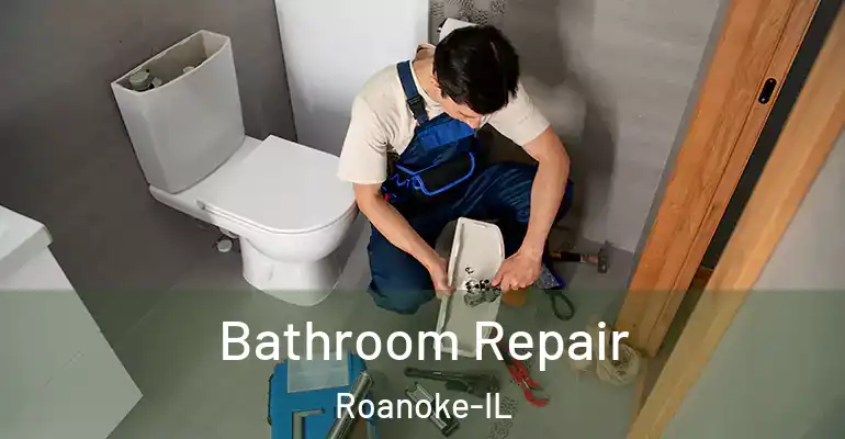 inner Bathroom imggen Bathroom Repair Roanoke-IL
