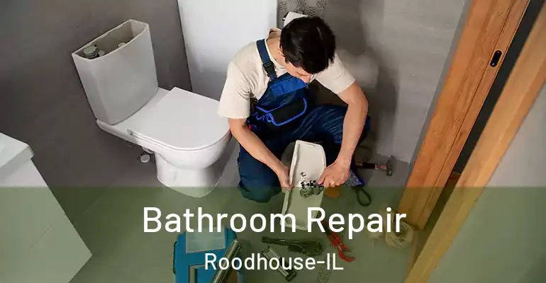 inner Bathroom imggen Bathroom Repair Roodhouse-IL