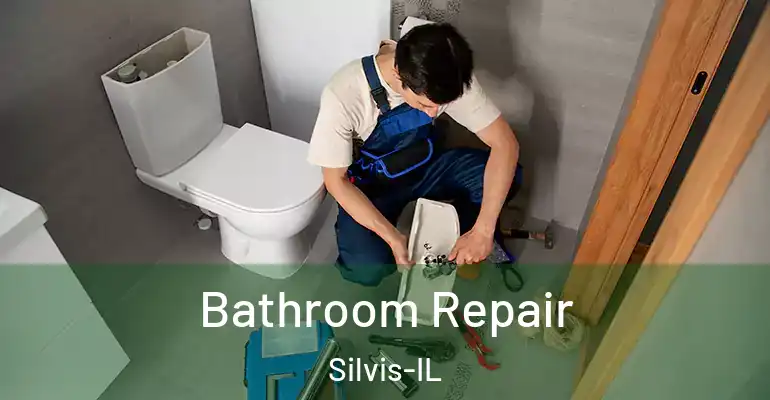 inner Bathroom imggen Bathroom Repair Silvis-IL