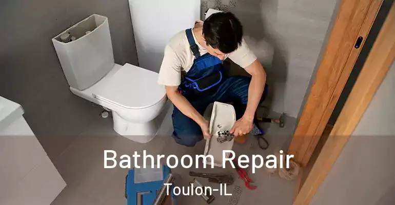 inner Bathroom imggen Bathroom Repair Toulon-IL