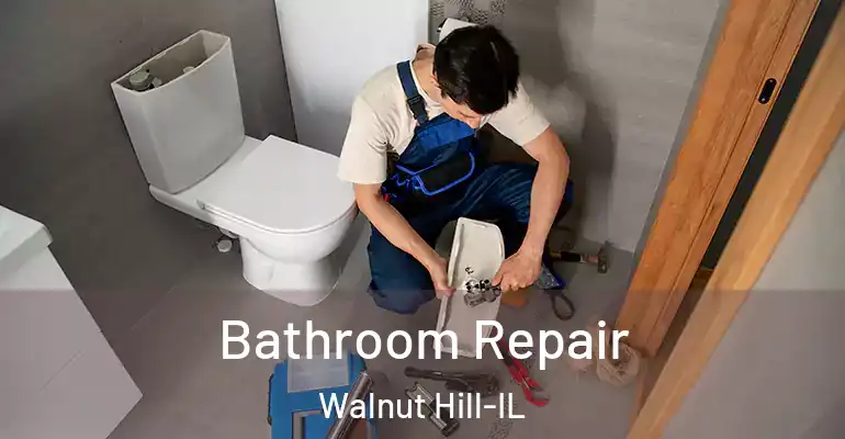 inner Bathroom imggen Bathroom Repair Walnut Hill-IL