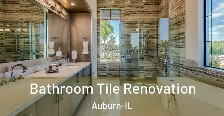 inner Bathroom imggen Bathroom Tile Renovation Auburn-IL